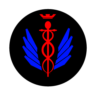 BuildMaster2101's emblem