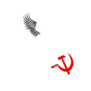 vfczyz's emblem