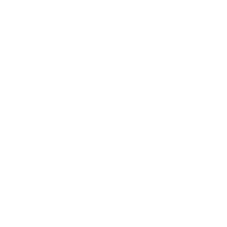 8GaGaRiN8's emblem