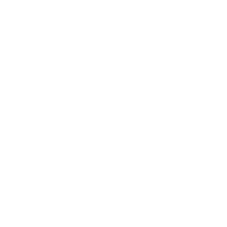 AHToxaBalgar's emblem