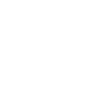 XxHawk_DemonxX's emblem