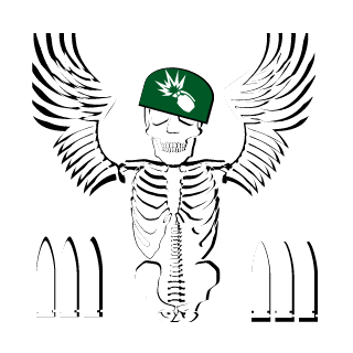 BianoMedeiros's emblem
