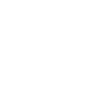 SchleemSplatter's emblem