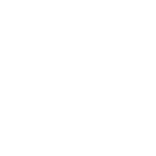 rankkapete2004's emblem