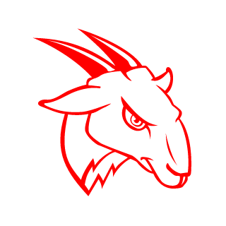 CloudValentine98's emblem