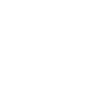 Intensm's emblem