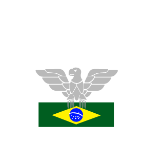 1Paozinhoo's emblem