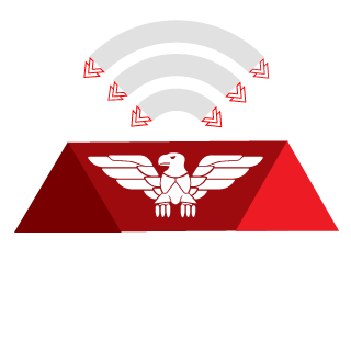 LVYMS's emblem