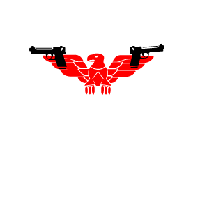 Praetorian6176's emblem