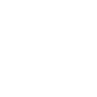 8d1a9e3be349e5ba's emblem