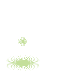 Battlefield heroes's emblem