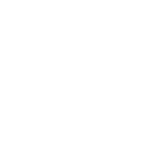 ZapterB's emblem