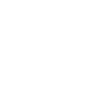Ainsburn's emblem
