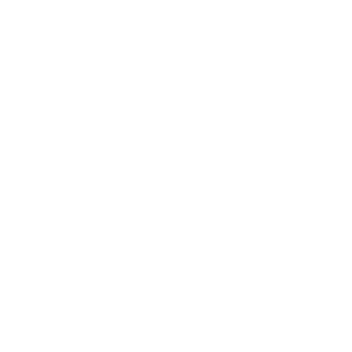 Lt-Maclean's emblem