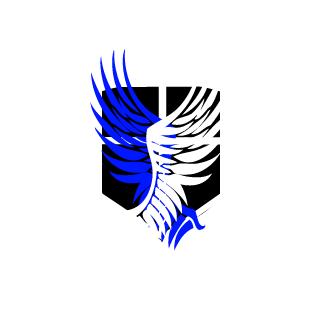 _nykaHoWar_'s emblem