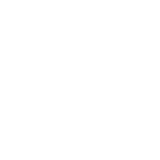 G0NDIM's emblem