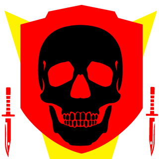 Benicio760's emblem