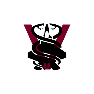 Vaison41's emblem