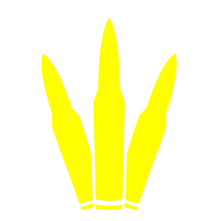 DpsNax's emblem