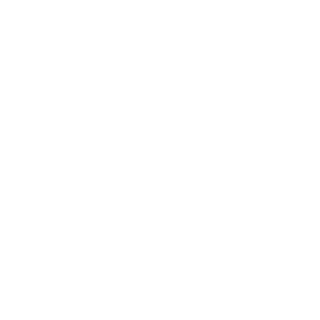 Wi11zyx's emblem