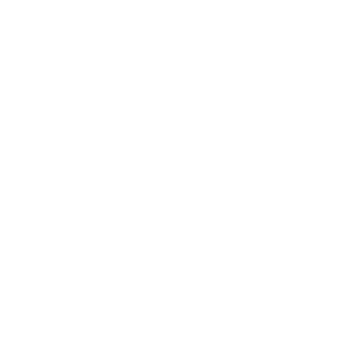RodZvor228's emblem