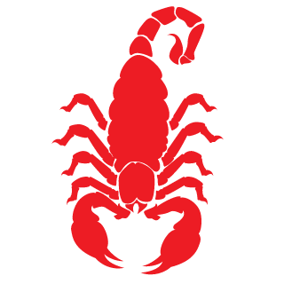 slavulya1337's emblem