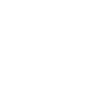 TopCal31's emblem