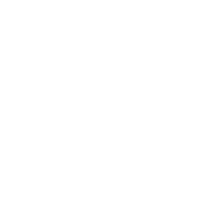 agent99ski's emblem