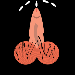 Noobs-sniper's emblem