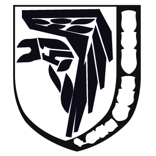LofiBlitz's emblem