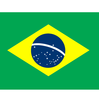 Richarlison-joga's emblem