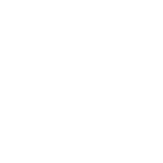 FTBxBRLN's emblem
