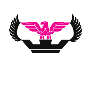GwS-Painkilller's emblem