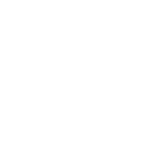 DRlT's emblem