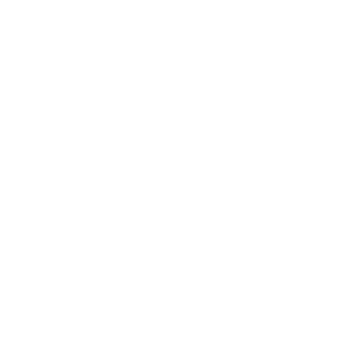 TIF-Overlord's emblem