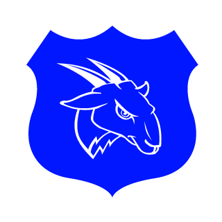 ItsPeter546's emblem