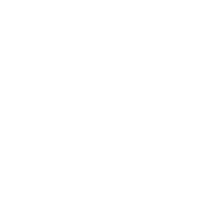 SirFaces04's emblem