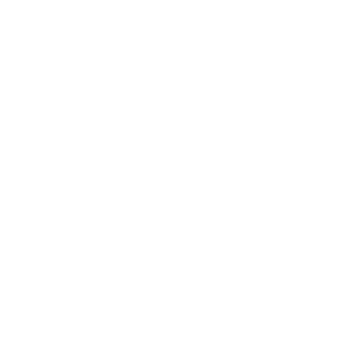 WizeHawk1309's emblem