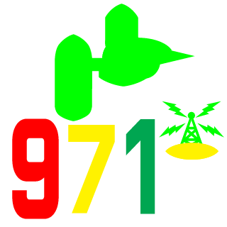 Mimik97125's emblem