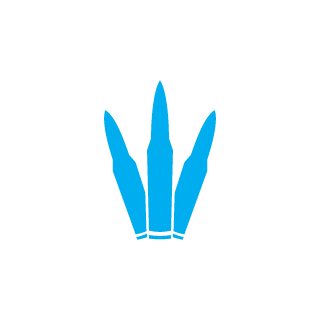 flappypancakenip's emblem