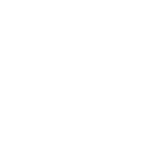 kingRDLS's emblem