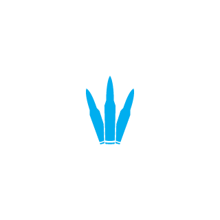 sdm4all's emblem