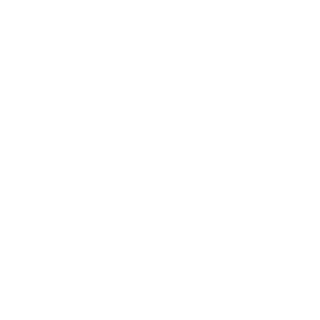 burtonspaz32's emblem