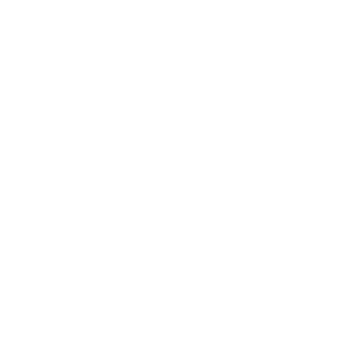 HFLTSG's emblem