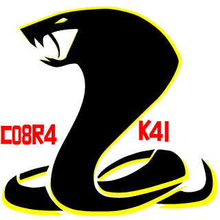 Rr0dr1gu3z's emblem