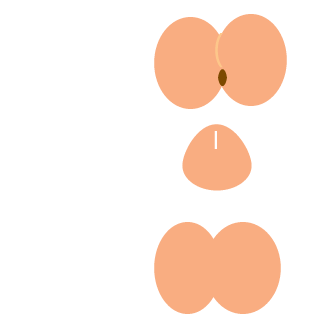 imwhite's emblem