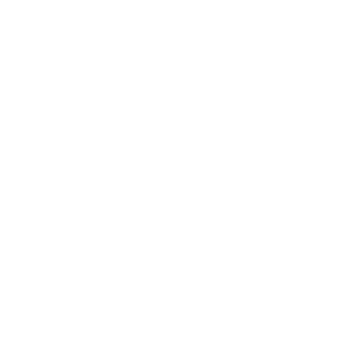haha-ng11's emblem