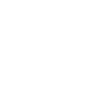 Hail Dail's emblem
