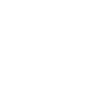 Ironzeta's emblem