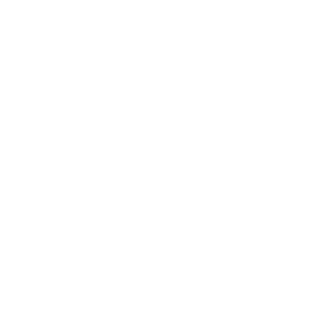 BOPOH31PYC's emblem